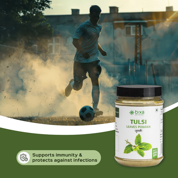 Tulsi Leaves Powder ( Ocimum Sanctum )