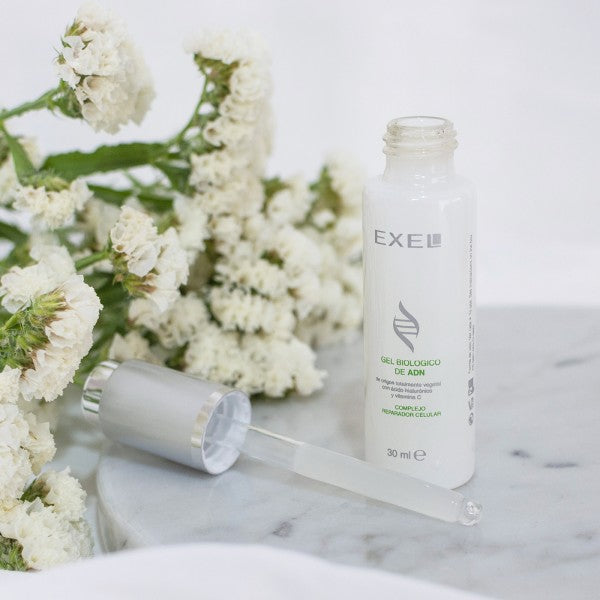 Vegetal DNA Gel