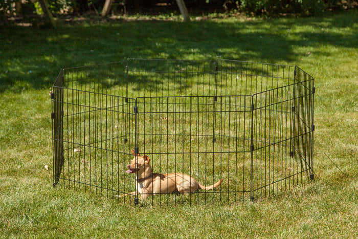 IRIS USA Metal Exercise Pet Playpen, Small Medium Dog Secure Fence Portable Easy Assemble Yard Outdoor Camping, 24"H-48"H 8-panel, Black - IRIS USA, Inc.