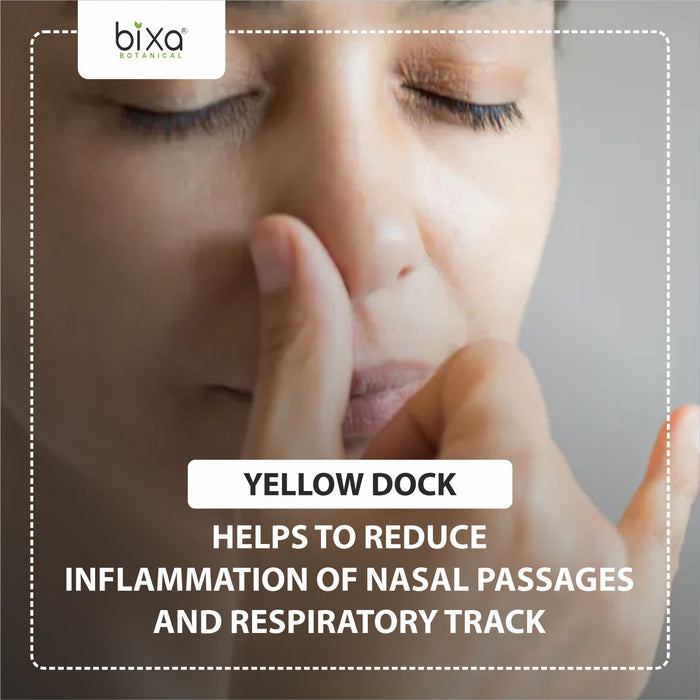 Yellow Dock Root Powder ( Rumex Crispus )